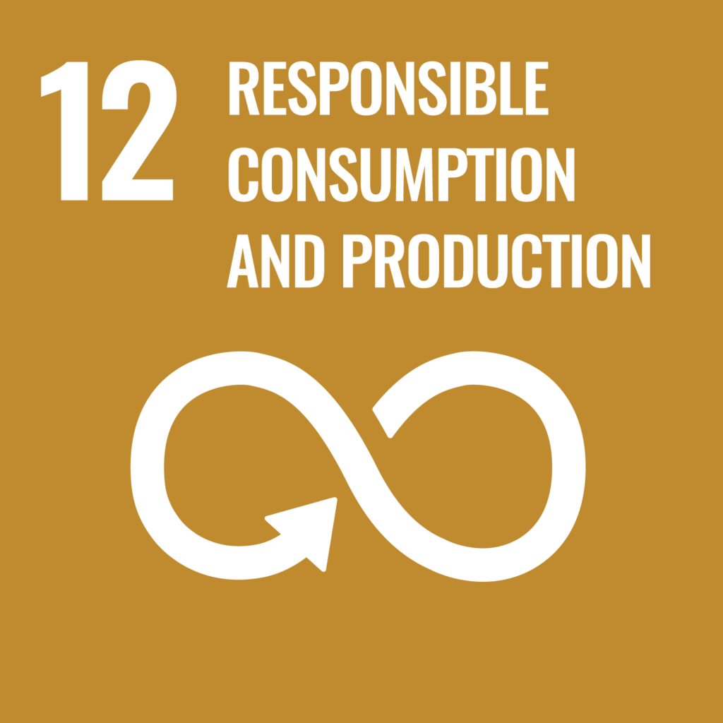 UN Sustainable Goal 12 graphic