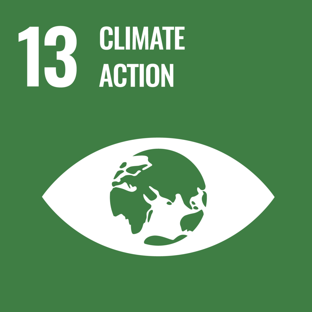 UN Sustainable goal 13 graphic