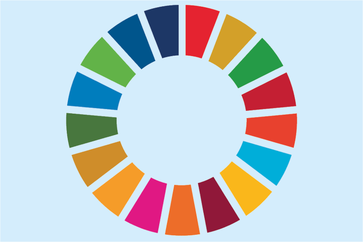 UN Sustainability development logo